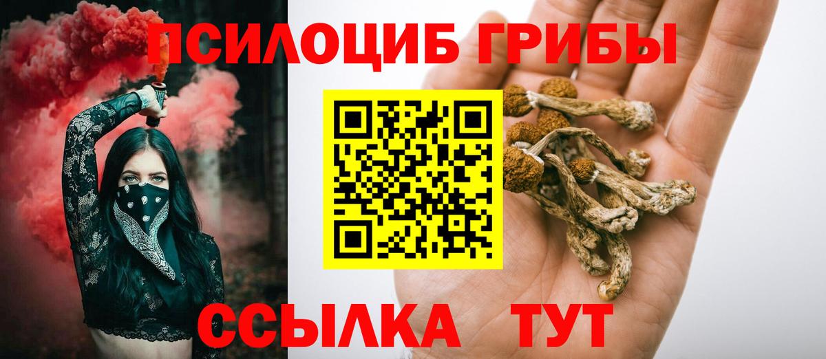 Галлюциногенные грибы Psilocybine cubensis Ликино-Дулёво